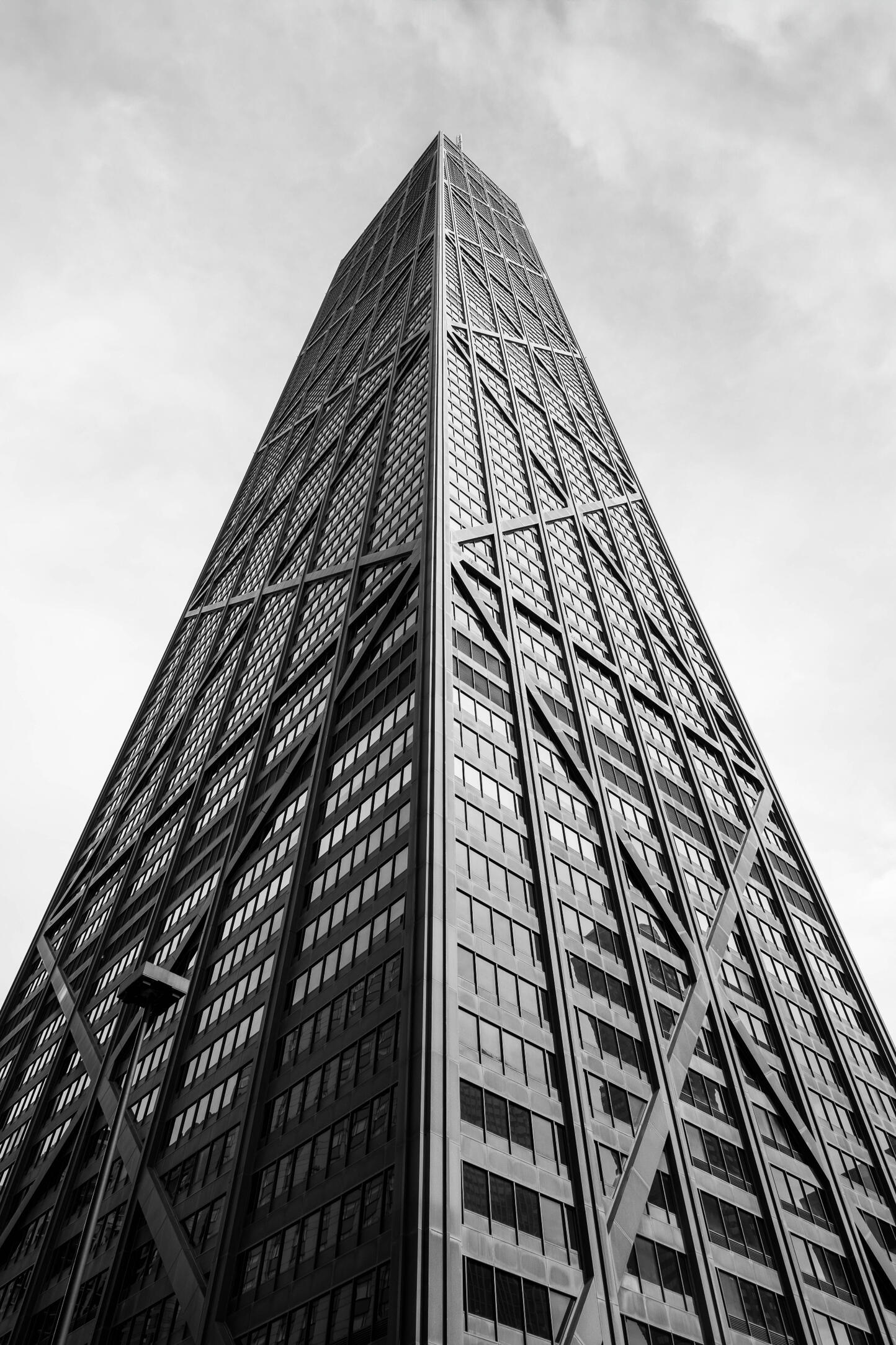 Viverra orci dapibus